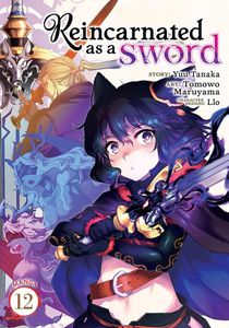 [Reincarnated As A Sword: Volume 12 (Product Image)]
