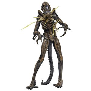 [Aliens: Action Figure: Series 12: Battle Damaged Alien Warrior Brown (Product Image)]