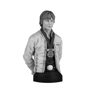 [Star Wars: Mini-Bust: Luke Skywalker (Hero Of Yavin) (Product Image)]