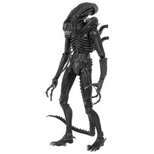 [Aliens: Deluxe Action Figure: Alien Warrior (1986 Version) (Product Image)]