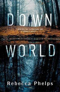 [Down World (Product Image)]