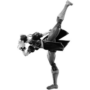 [Street Fighter 5: SH Figuarts Action Figure: Chun Li (Product Image)]