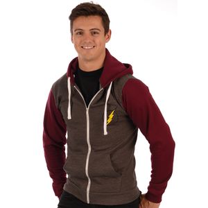 [DC: Hoodie: The Flash Logo (Product Image)]