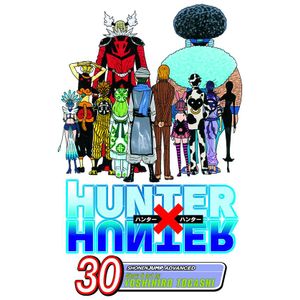 [Hunter X Hunter: Volume 30 (Product Image)]