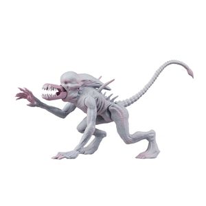 [Alien & Predator: Classics Action Figure: Neomorph Alien (Product Image)]