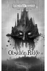 [Forgotten Realms: The Citadels: Obsidian Ridge (Product Image)]