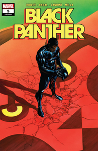 [Black Panther #5 (Product Image)]
