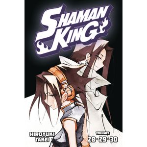 [Shaman King: Omnibus: Volume 10 (Product Image)]