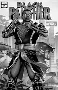 [Black Panther #25 (Reborn Variant) (Product Image)]