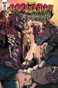 [TMNT: Bebop & Rocksteady Hit The Road #3 (Cover B Browne) (Product Image)]
