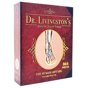 [Dr. Livingston's: Anatomy Jigsaw Puzzle: Volume VII: The Human Left Leg (Product Image)]