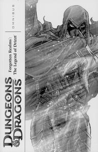 [Dungeons & Dragons: Forgotten Realms: Legends Of Drizzt Omnibus: Volume 2 (Product Image)]