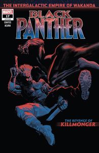 [Black Panther #17 (Product Image)]