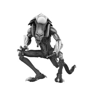 [Alien Vs Predator: Action Figure: Arcade Appearance Chrysalis Alien (Product Image)]