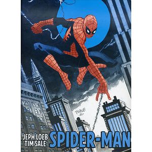 [Spider-Man: Jeph Loeb & Tim Sale: Gallery Edition (DM Variant Hardcover) (Product Image)]