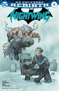 [Nightwing #30 (Variant Edition) (Product Image)]
