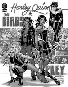 [Harley Quinn & The Birds Of Prey #4 (Product Image)]