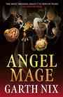 [The cover for Angel Mage (Signed Edition)]
