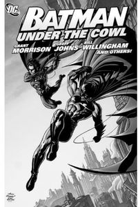 [Batman: Under The Cowl (Titan Edition) (Product Image)]