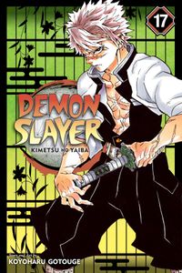 [Demon Slayer: Kimetsu No Yaiba: Volume 17 (Product Image)]