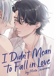 [I Didn't Mean To Fall In Love  (Product Image)]