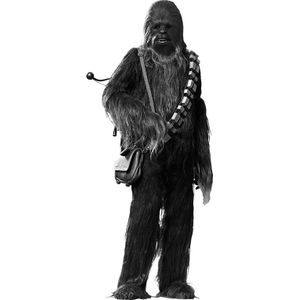 [Star Wars: Hot Toys Movie Masterpiece Figure: Episode IV Chewbacca (Product Image)]