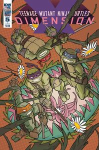 [Teenage Mutant Ninja Turtles: Dimension X #5 (Cover B Rousseau) (Product Image)]