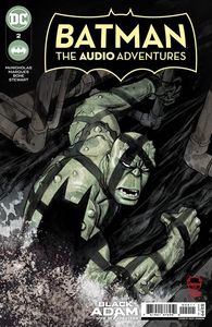 [Batman: The Audio Adventures #2 (Cover A Dave Johnson) (Product Image)]