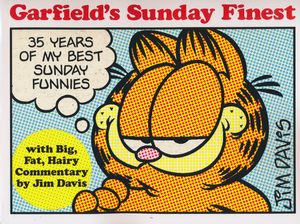 [Garfield's Sunday Finest (Product Image)]