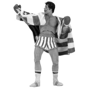 [Rocky: 40th Anniversary: Series 2 Action Figures: Rocky IV Rocky (Product Image)]
