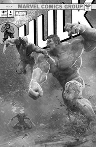 [Hulk #1 (Björn Barends Variant) (Product Image)]