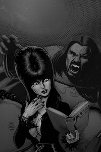 [Elvira: Mistress Of The Dark #4 (Cermak Virgin Variant) (Product Image)]