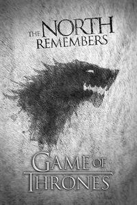 [Game Of Thrones: Poster: Wolf (Product Image)]