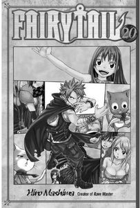 [Fairy Tail: Volume 20 (Product Image)]
