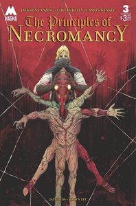[The Principles Of Necromancy #3 (Cover A Winkle) (Product Image)]