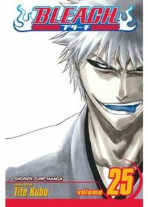 [Bleach: Volume 25  (Product Image)]