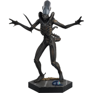 [Alien & Predator: 1/16 Scale Figure #1 Xenomorph Drone (Product Image)]