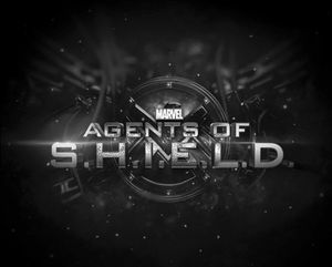 [Marvel's Agents Of S.H.I.E.L.D.: Season Four Declassified (Slipcase Hardcover) (Product Image)]
