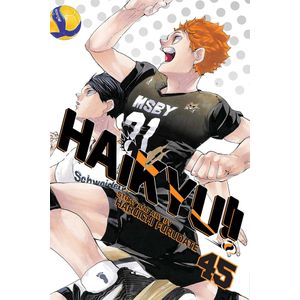 [Haikyu!!: Volume 45 (Product Image)]