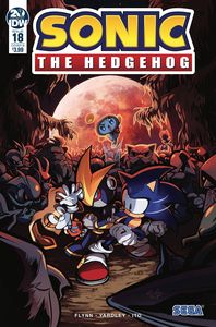 [Sonic The Hedgehog #18 (Cover B Skelly) (Product Image)]