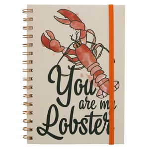 [Friends: Notebook: You Are My Lobster (Product Image)]