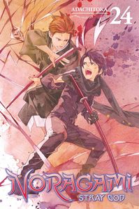[Noragami: Stray God: Volume 24 (Product Image)]