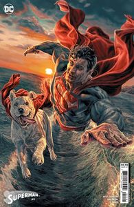 [Superman #11 (Cover B Lee Bermejo Card Stock Variant) (Product Image)]