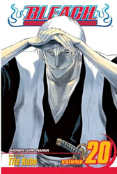 [Bleach: Volume 20 (Product Image)]