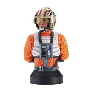 [Star Wars: A New Hope: 1/6 Scale Bust: Red Leader  (Product Image)]