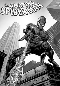 [Amazing Spider-Man: Straczynski Omnibus: Volume 2 (Hardcover) (Product Image)]