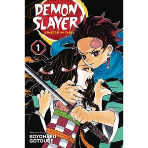 [Demon Slayer: Kimetsu No Yaiba: Volume 1 (Product Image)]