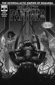 [Black Panther #19 (Product Image)]