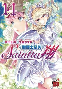 [Saint Seiya Saintia Sho: Volume 14 (Product Image)]