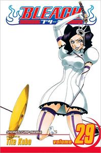[Bleach: Volume 29 (Product Image)]